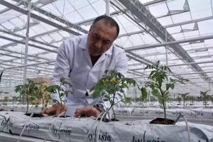 Türkiye’nin İlk En Düşük Jeotermal Enerjisi ile Çalışan Modern Cam Serası